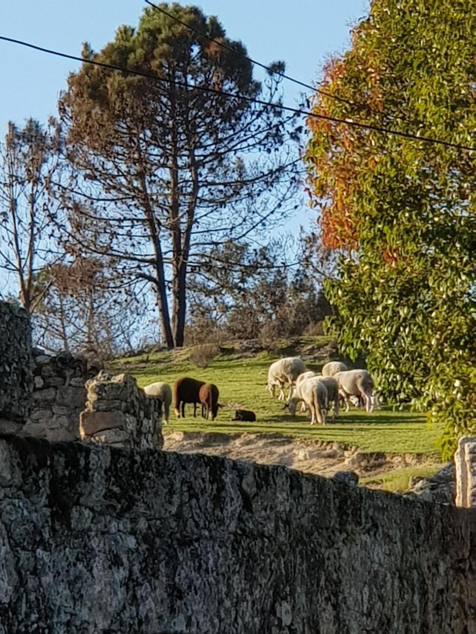 Hotel Rural Mira Serra Мангуалде Екстериор снимка
