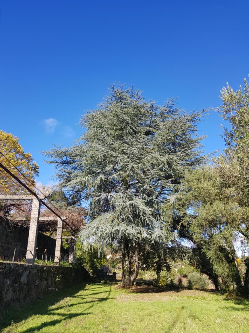 Hotel Rural Mira Serra Мангуалде Екстериор снимка