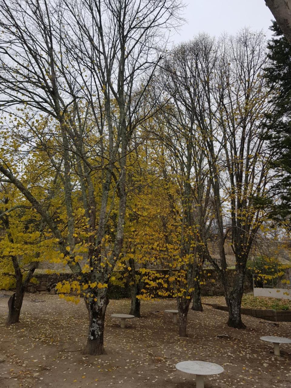 Hotel Rural Mira Serra Мангуалде Екстериор снимка